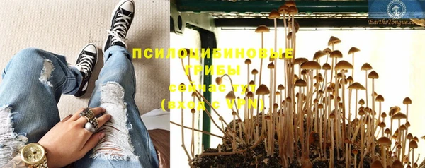 прущие грибы Алзамай