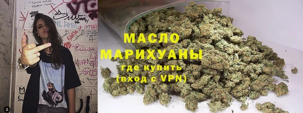 прущие грибы Алзамай