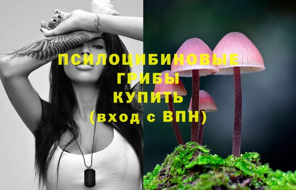 прущие грибы Алзамай