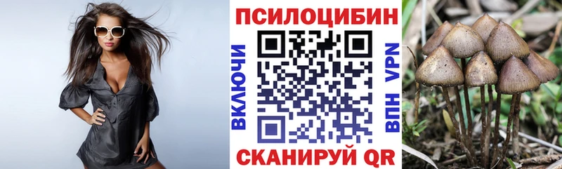 Псилоцибиновые грибы Magic Shrooms  Куса 